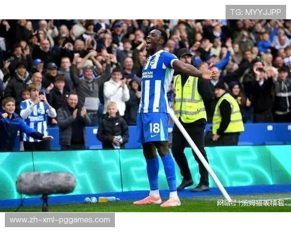 英超水货球员现象解析及对联赛质量的影响