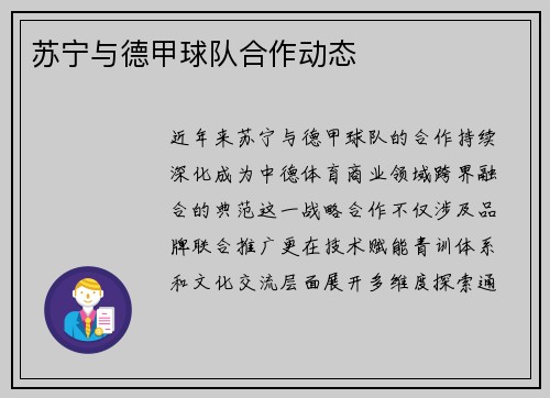 苏宁与德甲球队合作动态