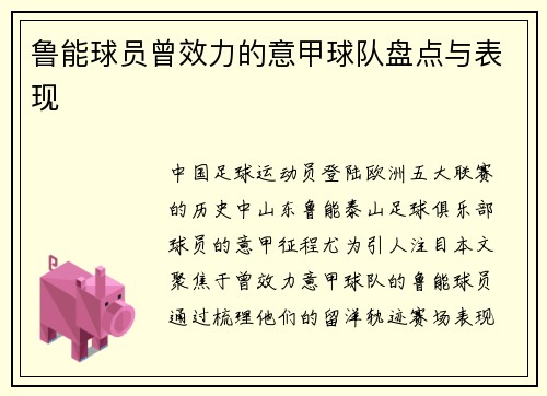 鲁能球员曾效力的意甲球队盘点与表现